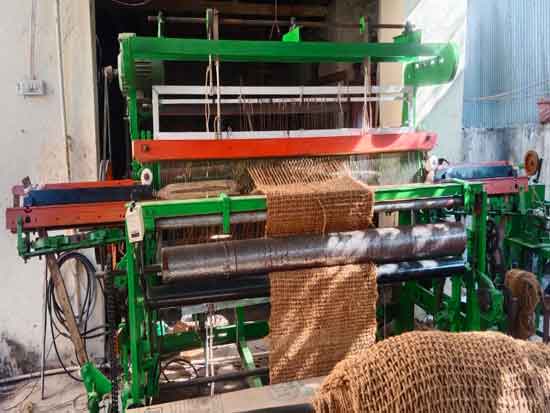 Coir Loom Plant